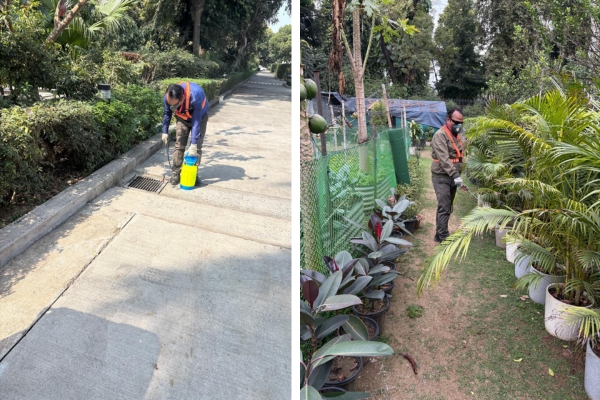 Pest Mantra Gallery Image