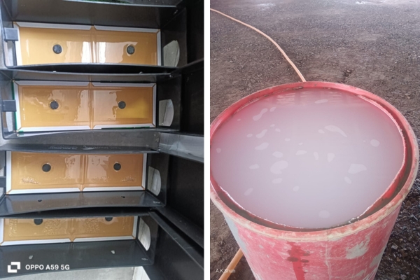 Pest Mantra Gallery Image