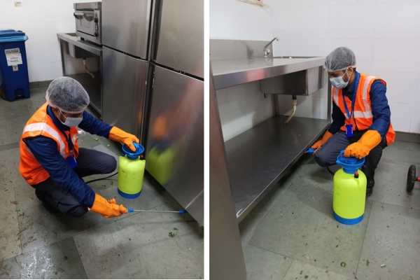 Pest Mantra Gallery Image