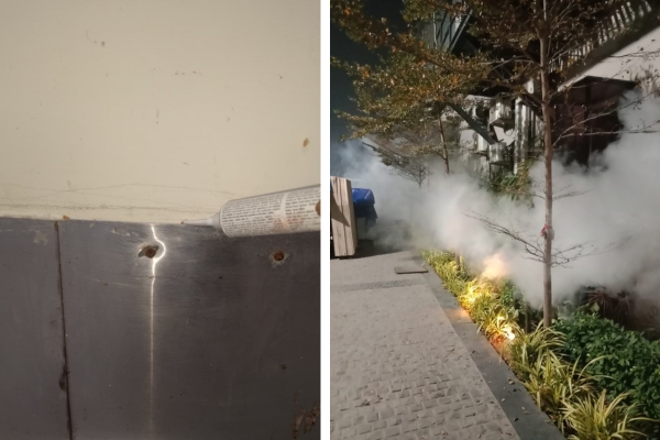 Pest Mantra Gallery Image