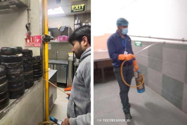 Pest Mantra Gallery Image