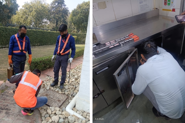 Pest Mantra Gallery Image