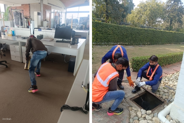 Pest Mantra Gallery Image