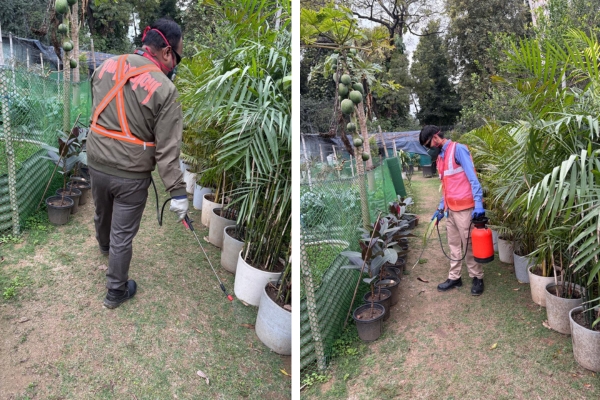 Pest Mantra Gallery Image