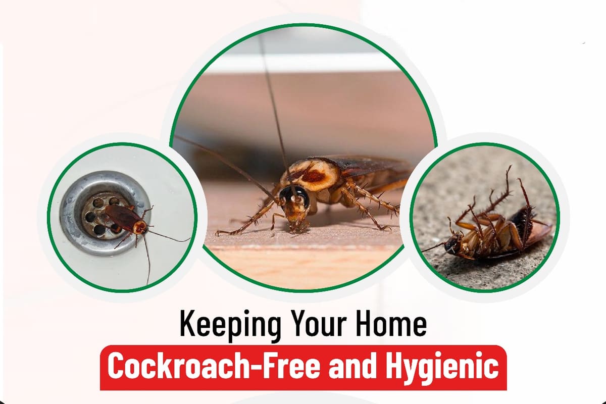 Pest Mantra Gallery Image